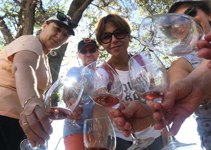 PASEO ENTRE VIEDOS. RUTA DEL VINO DE YECLA 