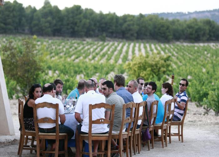 PASEO ENTRE VIEDOS. RUTA DEL VINO DE YECLA 