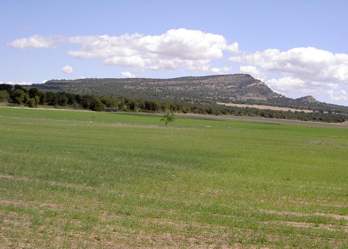 CIRCUITO SENDERO MONTE ARABI (PR-MU91)