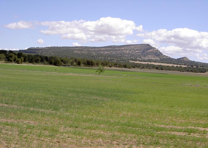 CIRCUITO SENDERO MONTE ARABI (PR-MU91) + PINTURAS RUPESTRES