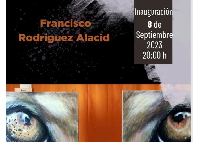 EGO FURTIVO, LA MIRADA OCULTA