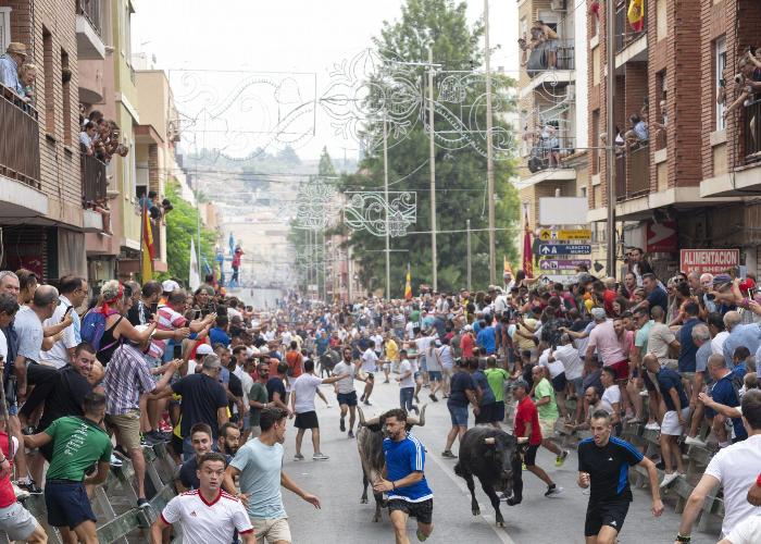 ENCIERRO DE TOROS