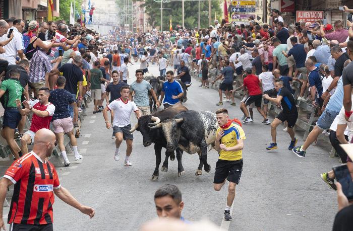 ENCIERRO DE TOROS