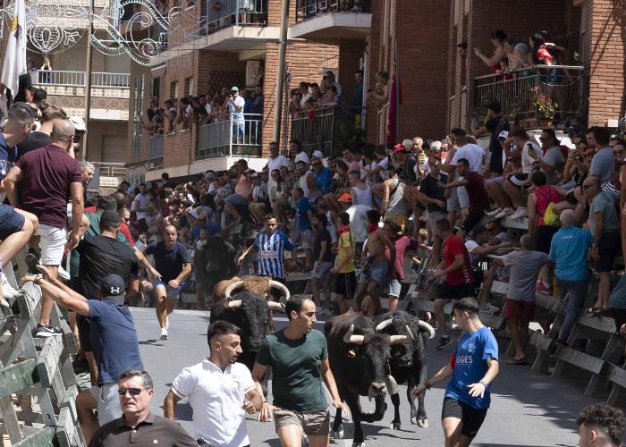 ENCIERRO DE TOROS