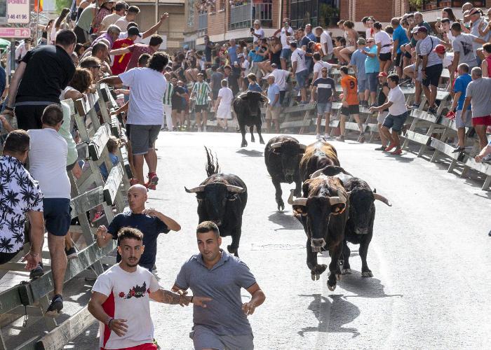 ENCIERRO DE TOROS