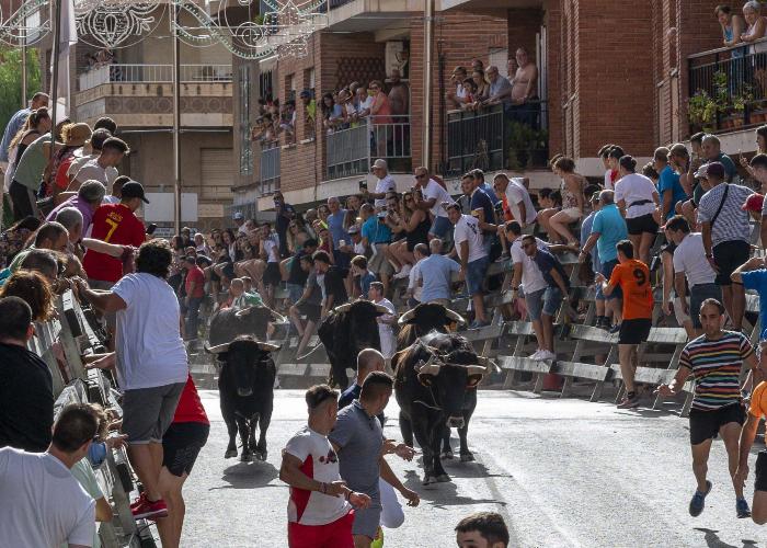 ENCIERRO DE TOROS