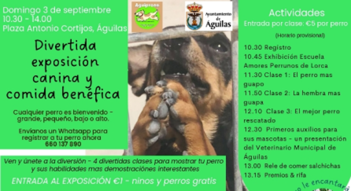 EXPOSICIN CANINA Y COMIDA BENFICA 