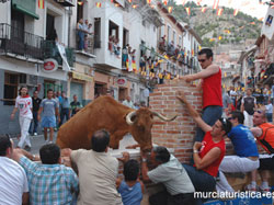 FIESTAS DEL SANTSIMO CRISTO DEL RAYO