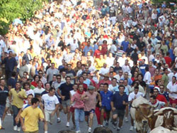 FIESTAS DEL SANTSIMO CRISTO DEL RAYO