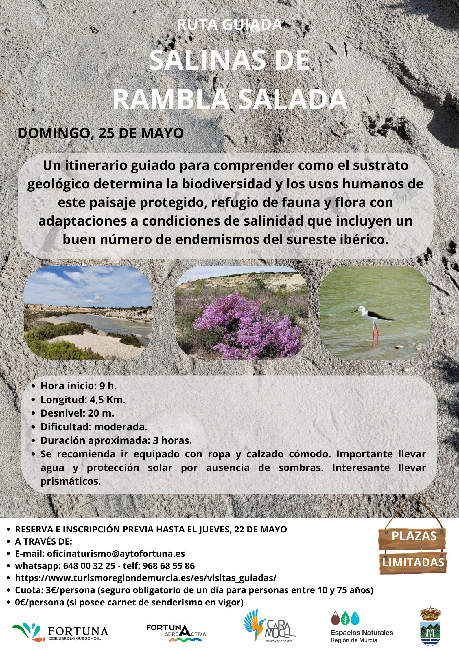 SALINAS DE RAMBLA SALADA 