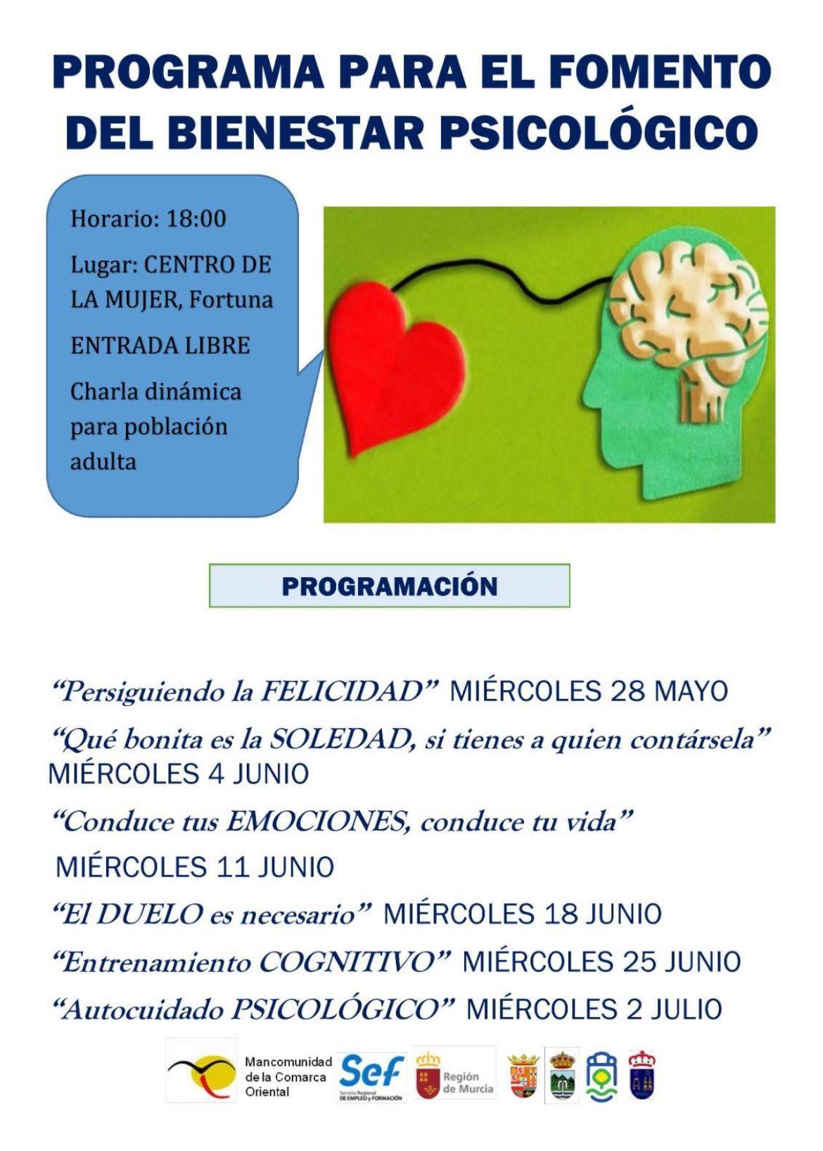 PROGRAMA PARA EL FOMENTO DEL BIENESTAR PSICOLGICO