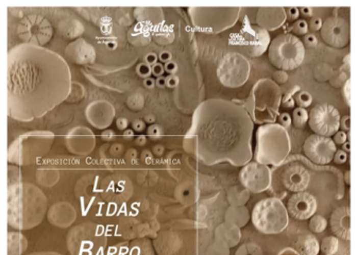 LAS VIDAS DEL BARRO