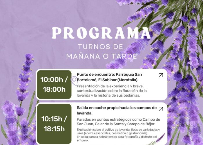 RUTA FLORACIN LAVANDA EXPERIENCE