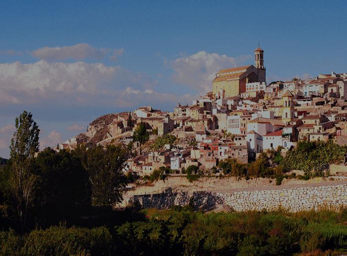 VISITA GUIADA A LAS MURALLAS DE CEHEGÍN VISITA GUIADA A LAS MURALLAS DE CEHEGÍN