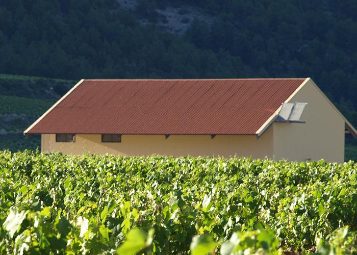 VINO Y LLUVIA DE ESTRELLAS EN EL VALLE DEL ACENICHE 