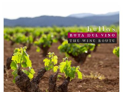  Ruta del Vino Bullas