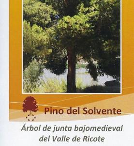 Pino del Solvente Pino del Solvente