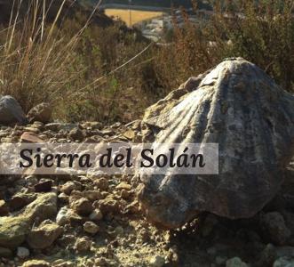 Ruta por la Sierra del Soln