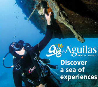 Scuba Diving. Discover a sea of experiences