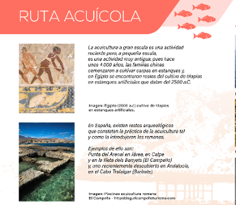 Ruta Acuicola