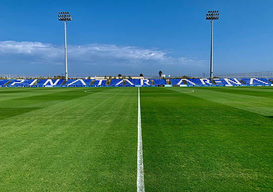 Campo