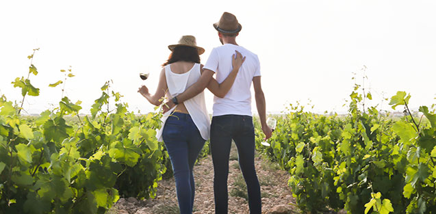 Momento Monastrell Picnic