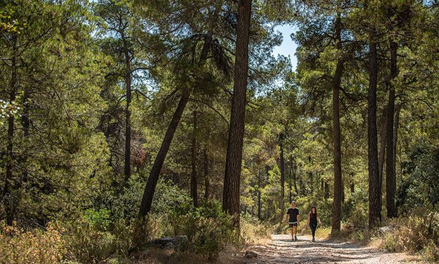Valle de Leiva-Pozos de la Nieve