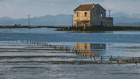 Descubre las playas accesibles San Javier