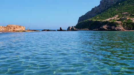 Ms informacin sobre guilas en la Regin de Murcia