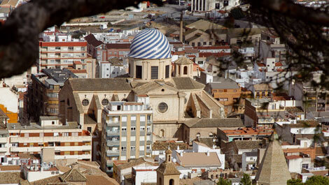 Yecla