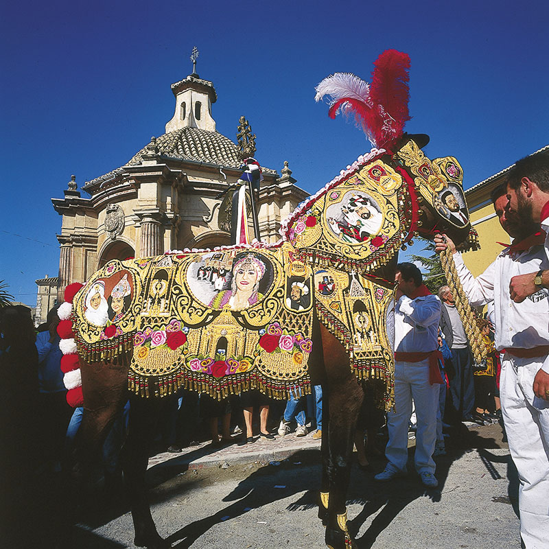 Caballos del vino