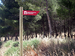 Poste con flecha en medio rural, en la que figura en logo y nombre del Camino Poste con flecha en medio rural, en la que figura en logo y nombre del Camino