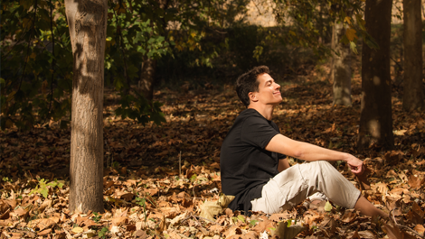 Forest Bathing Forest Bathing