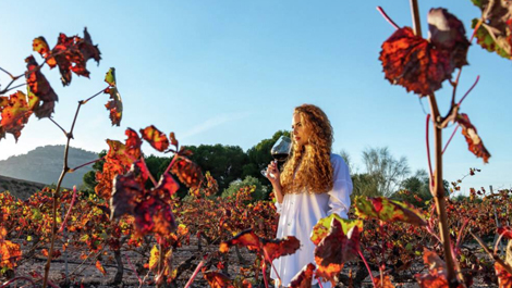 Bodegas en plena naturaleza