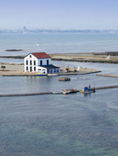 Arenales y Salinas de San Pedro