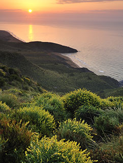 Calblanque