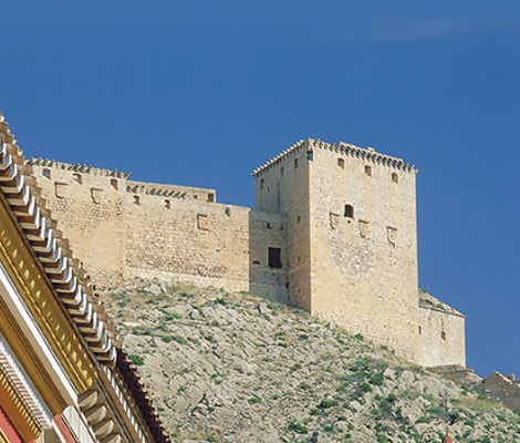 Castillo de Mula