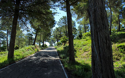 Espuroad. Nord-Route Espuroad. Nord-Route
