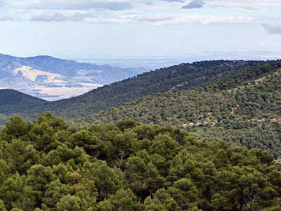 Rural and Inland Tourism Rural and Inland Tourism