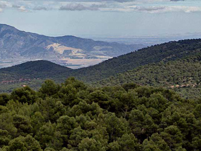 CETD Sierra Espua