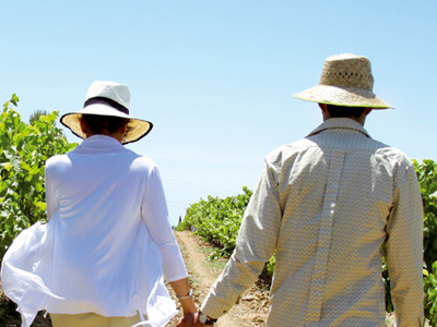Winetourism Routes Winetourism Routes