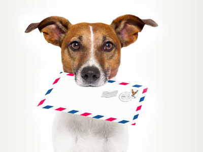 Newsletter Newsletter
