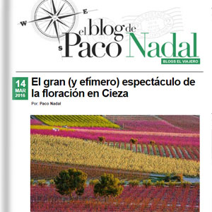 El gran espectculo de la floracin de Cieza - El Viajero