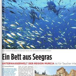 Ein Bett aus Seegras - Fuldaer Zeitung