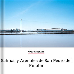 Salinas y arenales de San Pedro del Pinatar-Viaje al atardecer