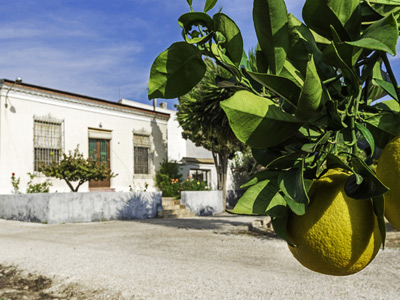 EL NARANJAL DE SANTA CRUZ