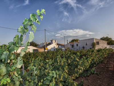 CASA EL LLANO QUINTANILLA