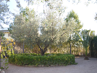 LOS CANTOS