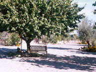 CORTIJOS DE URREO. CASA EL PALOMAR