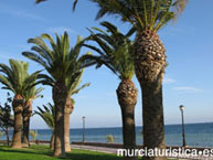 BALNEARIO LA ENCARNACIN